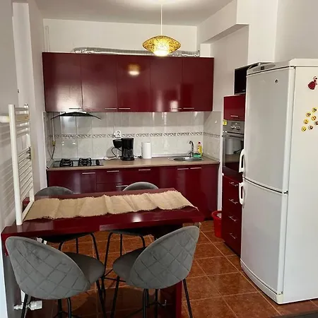 Apartment Cozy In Marasti -cluj *